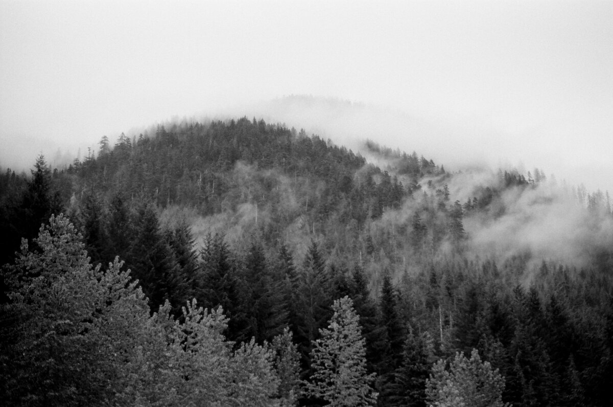 434044_0003