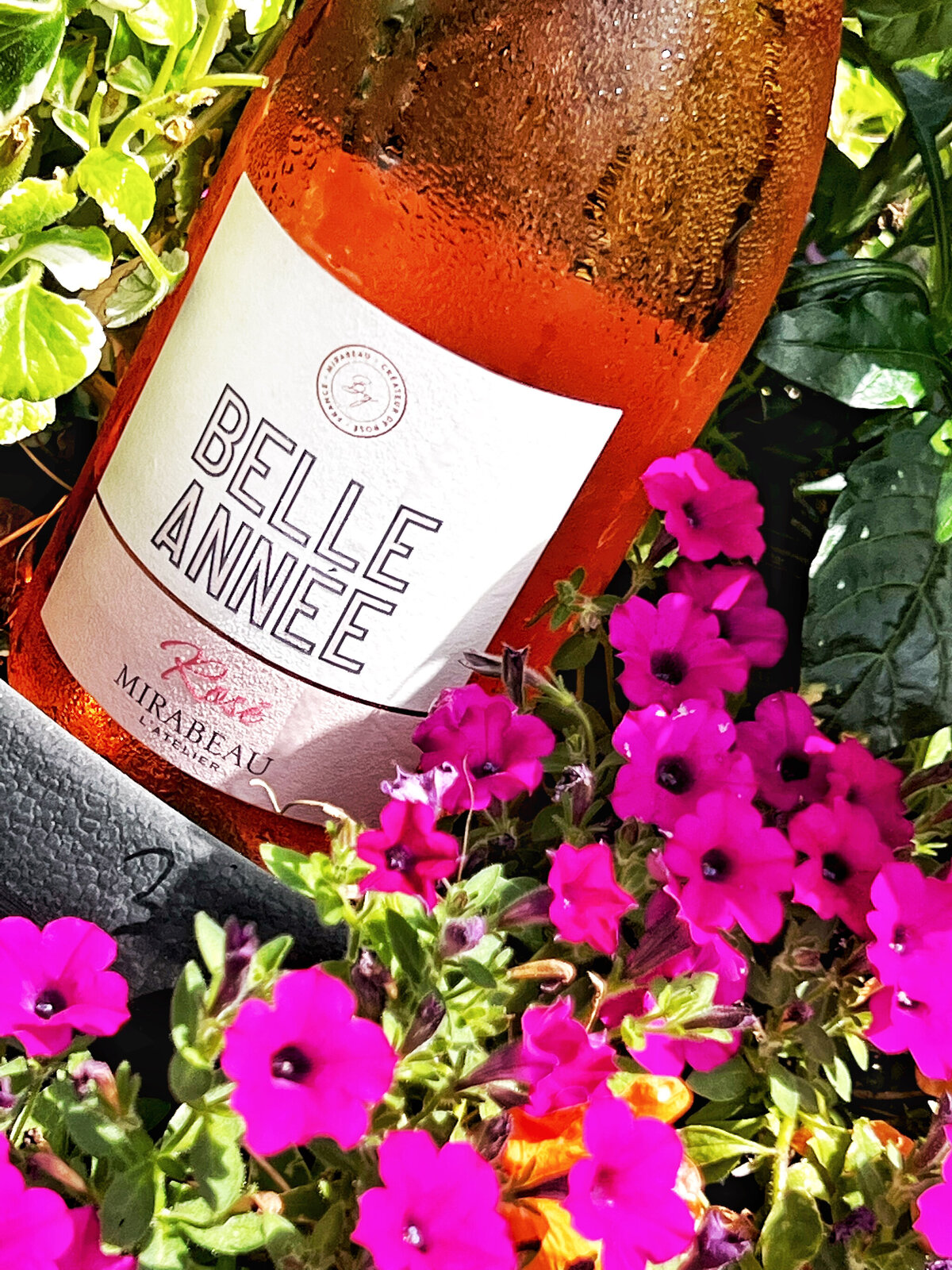 Delicious Rose with Chicken Tikka Masala Malika Pakistani Indian Restaurant Mt Pleasant SC