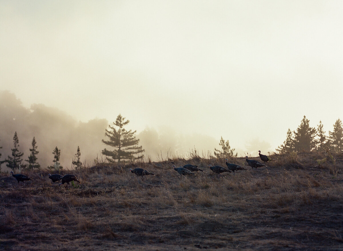 DT-2025-Kelcie&StevenPreview-60