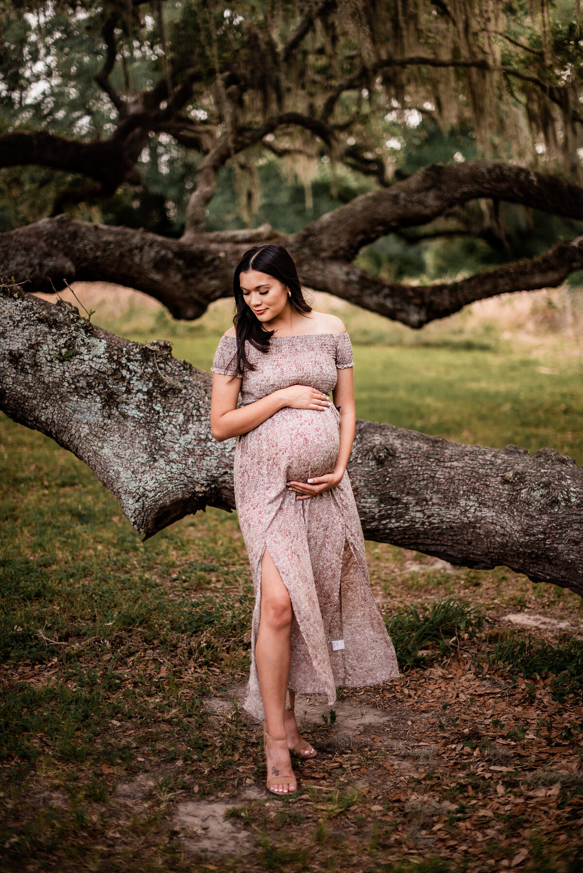 An expectant mother holds her belly with both hands and looks to her right while standing in front of a beautiful oak tree.