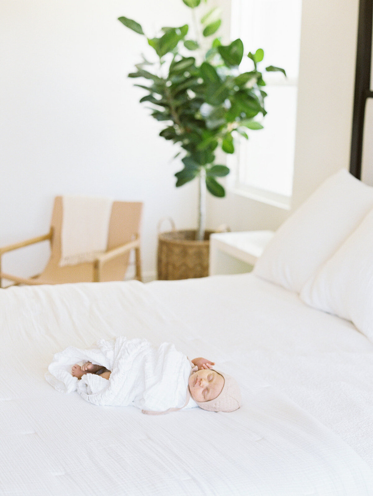 Michelle-Popp-Photography-Lucy Newborn-81