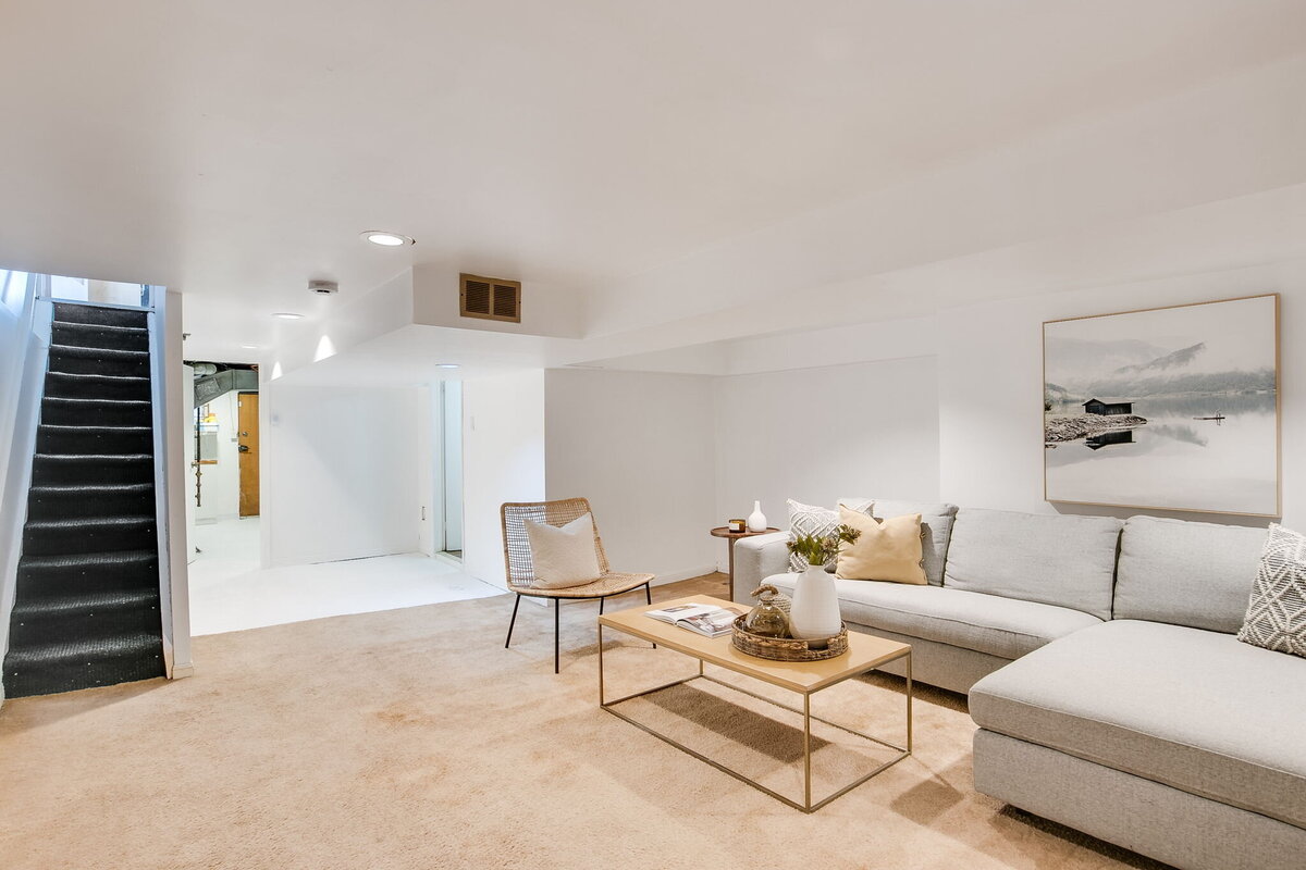 45-web-or-mls-60_001_Lower Level