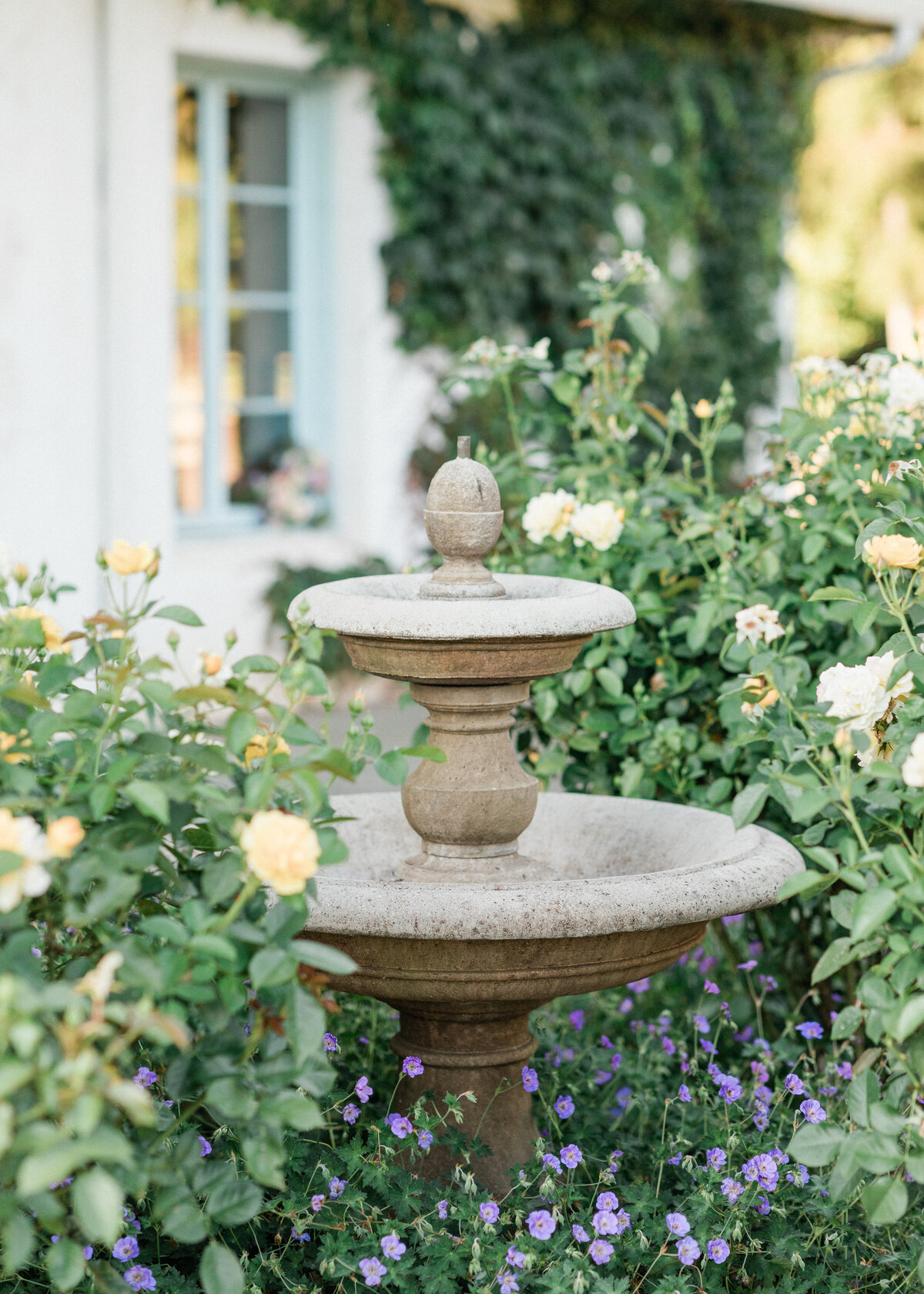 JanetLinPhotography_MonetVineyards-63