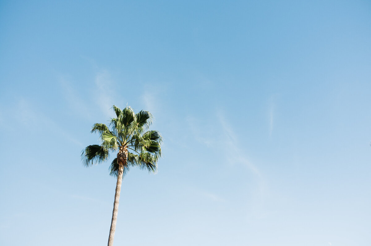sandiego_0051