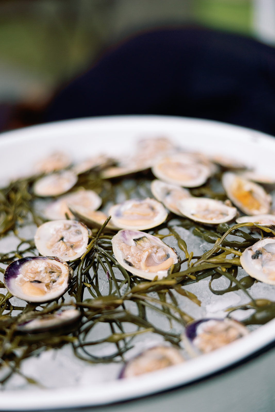 rhode-island-wedding-caterer