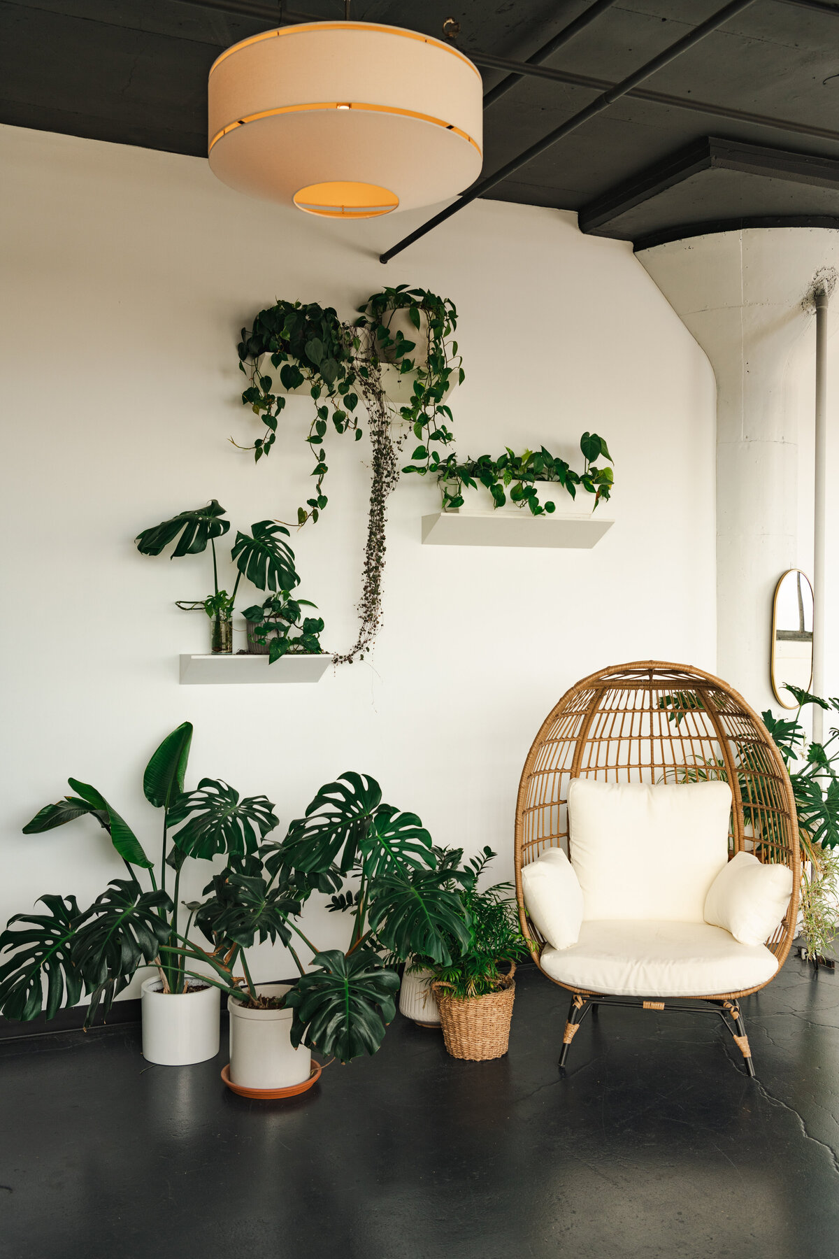 photography studio filled with houseplants with dark floors