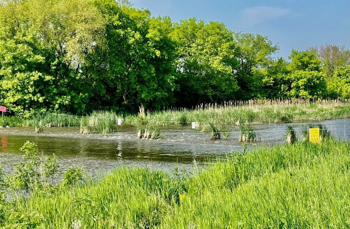 Okoboji Protective Association_Asian Jumping Carp Barrier