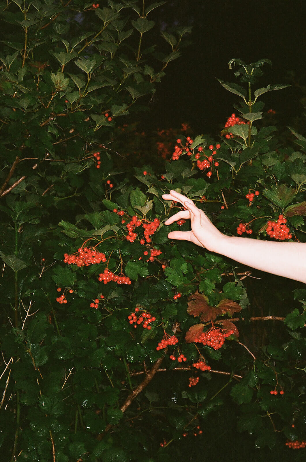 Hochzeitsfotograf vorarlberg_223