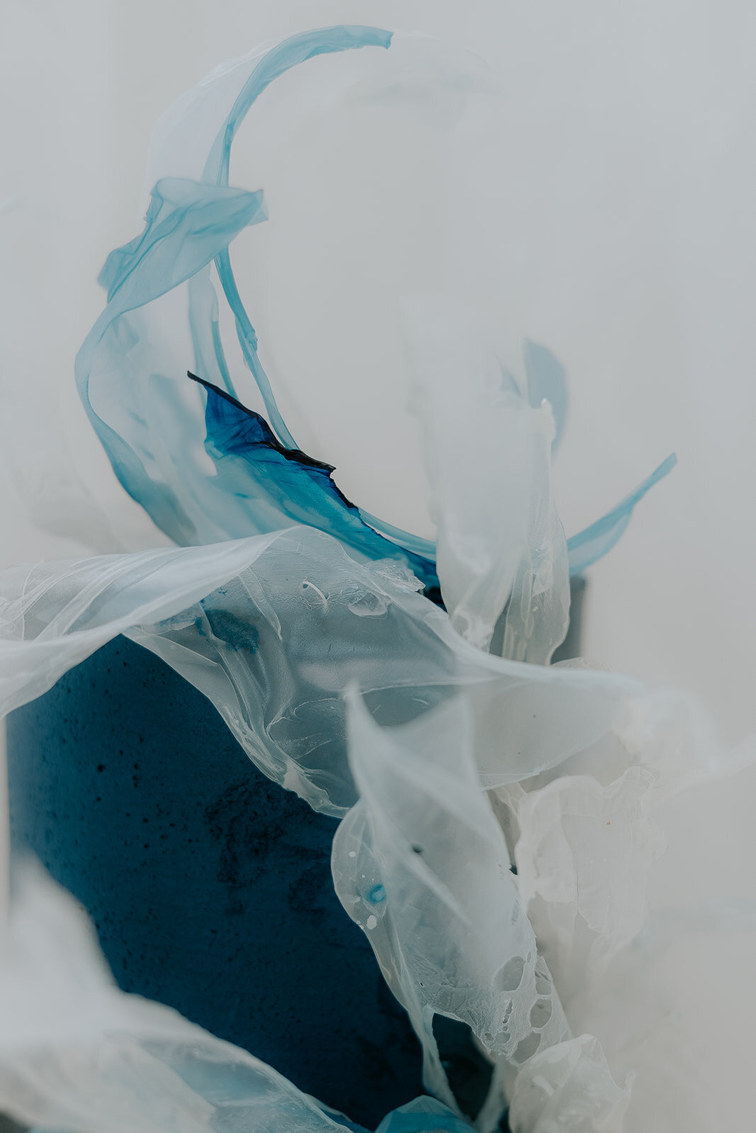 0G9A7972_websize