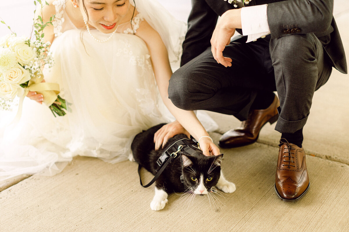 can-hanyu-wedding-49536