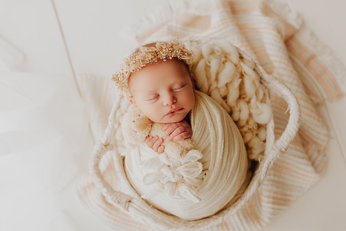 Sacramento, Elk Grove, Florin, Vineyard, Roseville, Davis, Rancho Cordova, East Sacramento, Cameron Park, Folsom, Antelope Newborn Photographer, Baby Photographer, A Little Goose