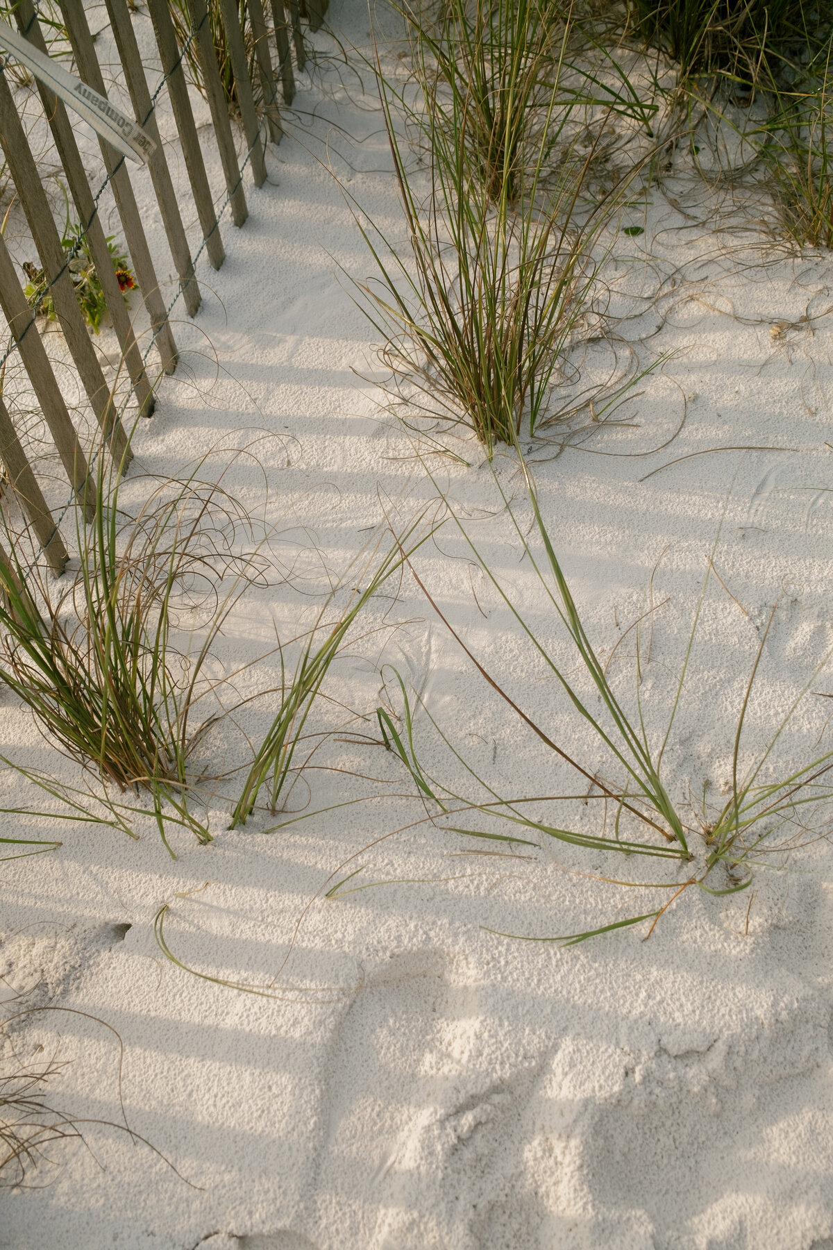 Alyssa Amez Design - Sloan's Chic, Coastal Rosemary Beach Wedding4