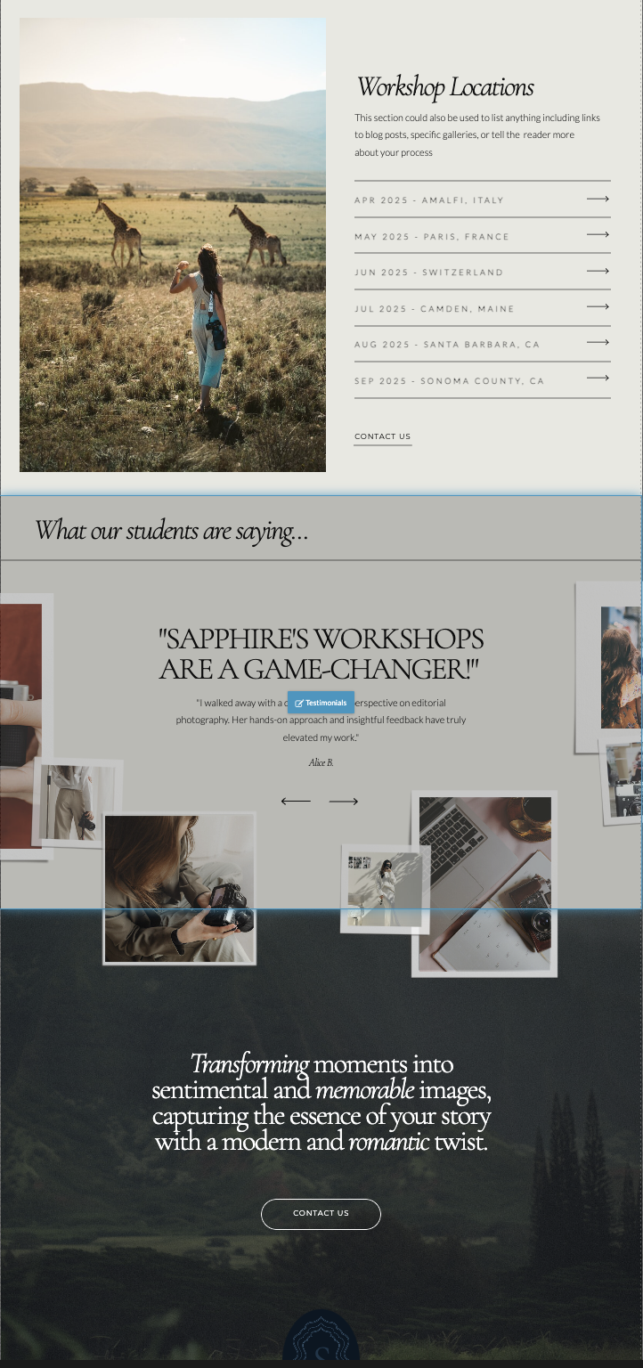 Website_Template_Showit_Sapphire_19