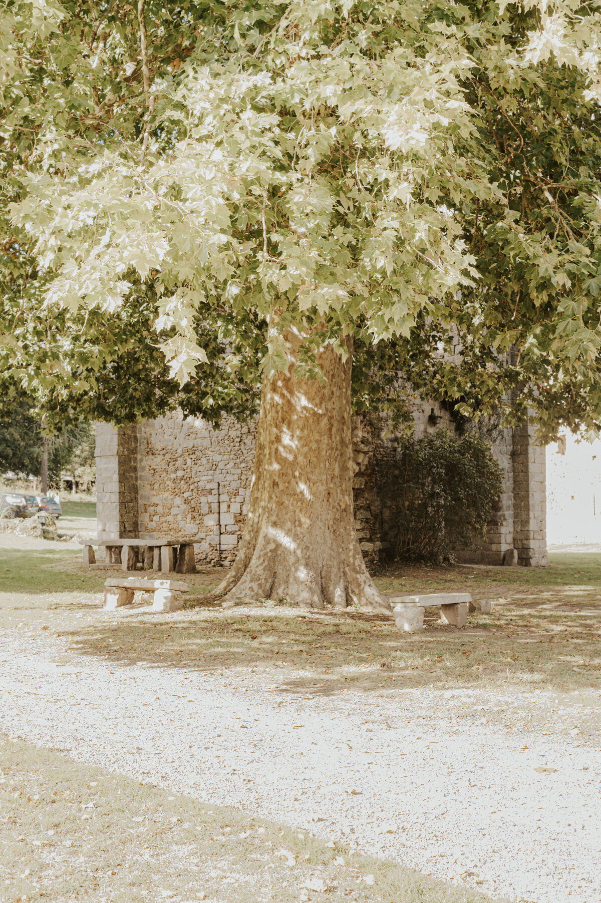 mariage-FD-Paris(1)_128