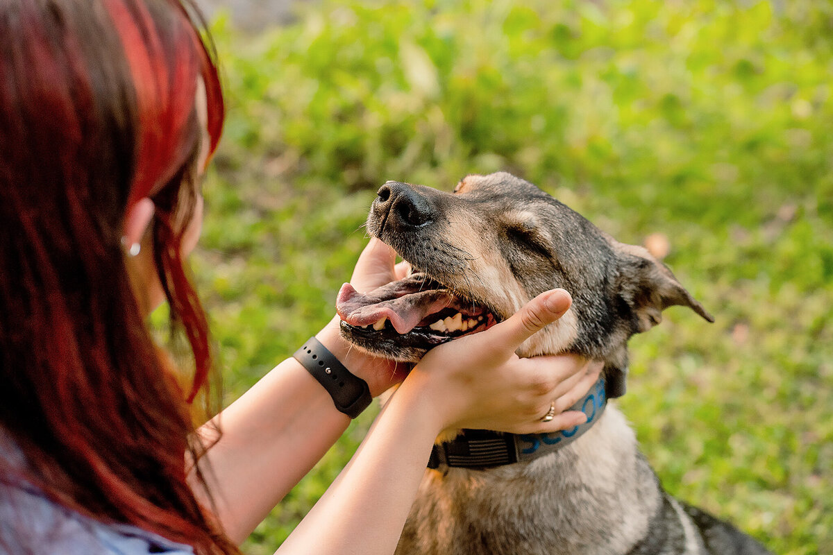 New Orleans Pet Photographer 30