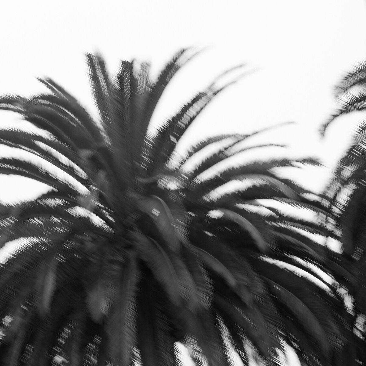 Bel Air Bay Club CA Wedding Sneak Peeks-Mariah Jones Photography-7