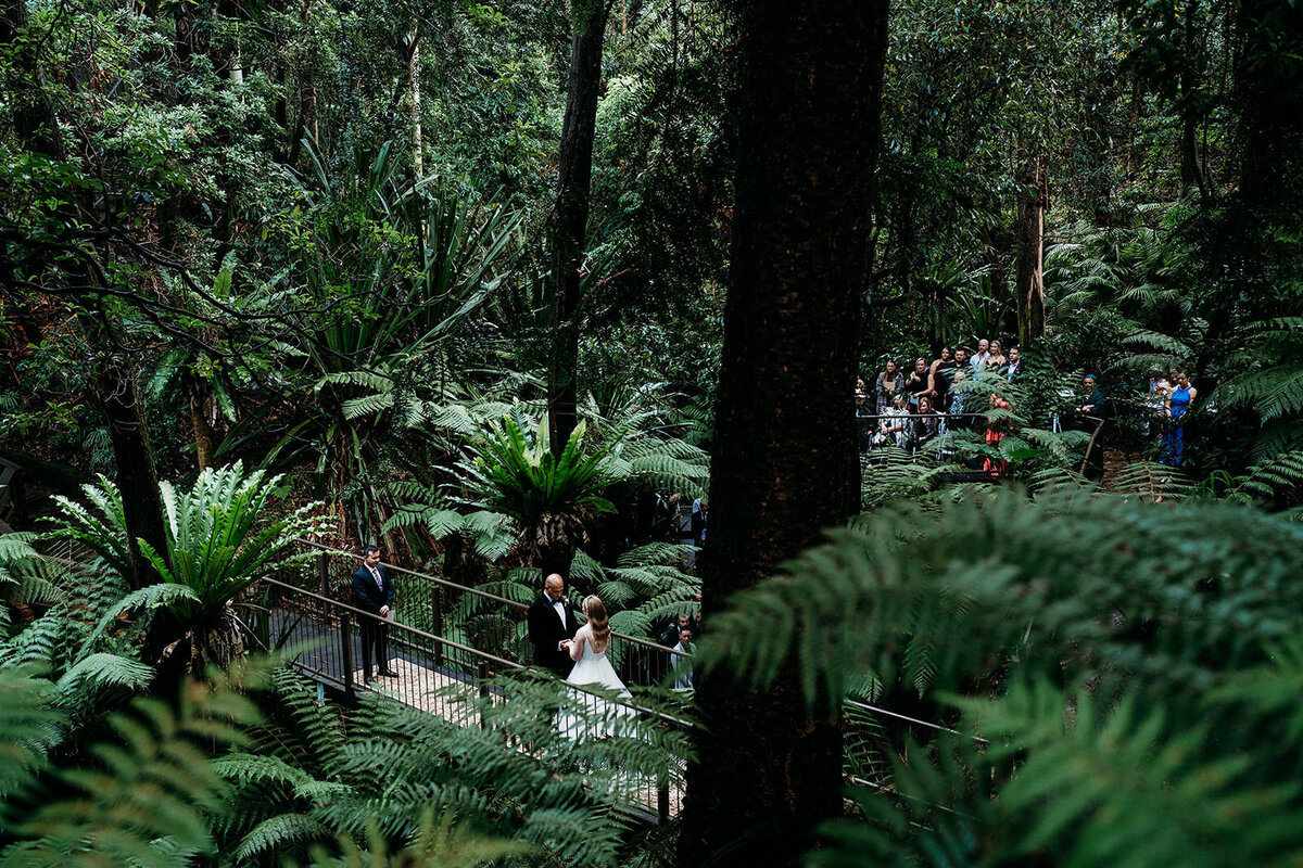 Margan_Photography_Australian_National_Botanic_Gardens-177