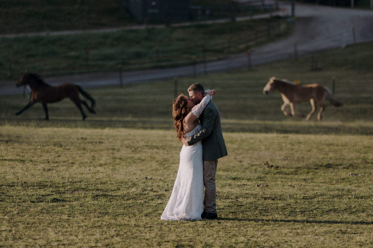 Glenworth Valley Central Coast Wedding - The Beginning Studio - T + J-19