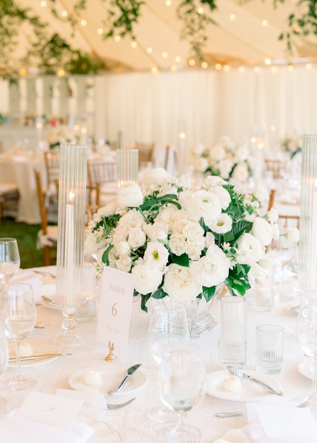 AbbySchuylerWedding_LF_1487