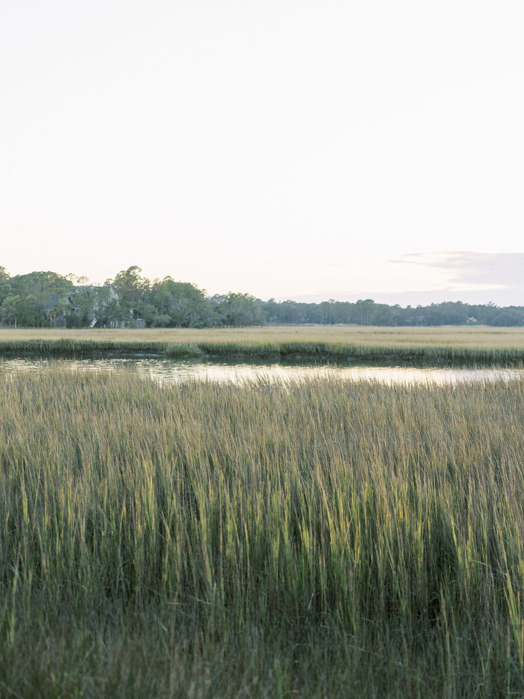 Kiawah-Wedding-Planner-Mingo-Point-23