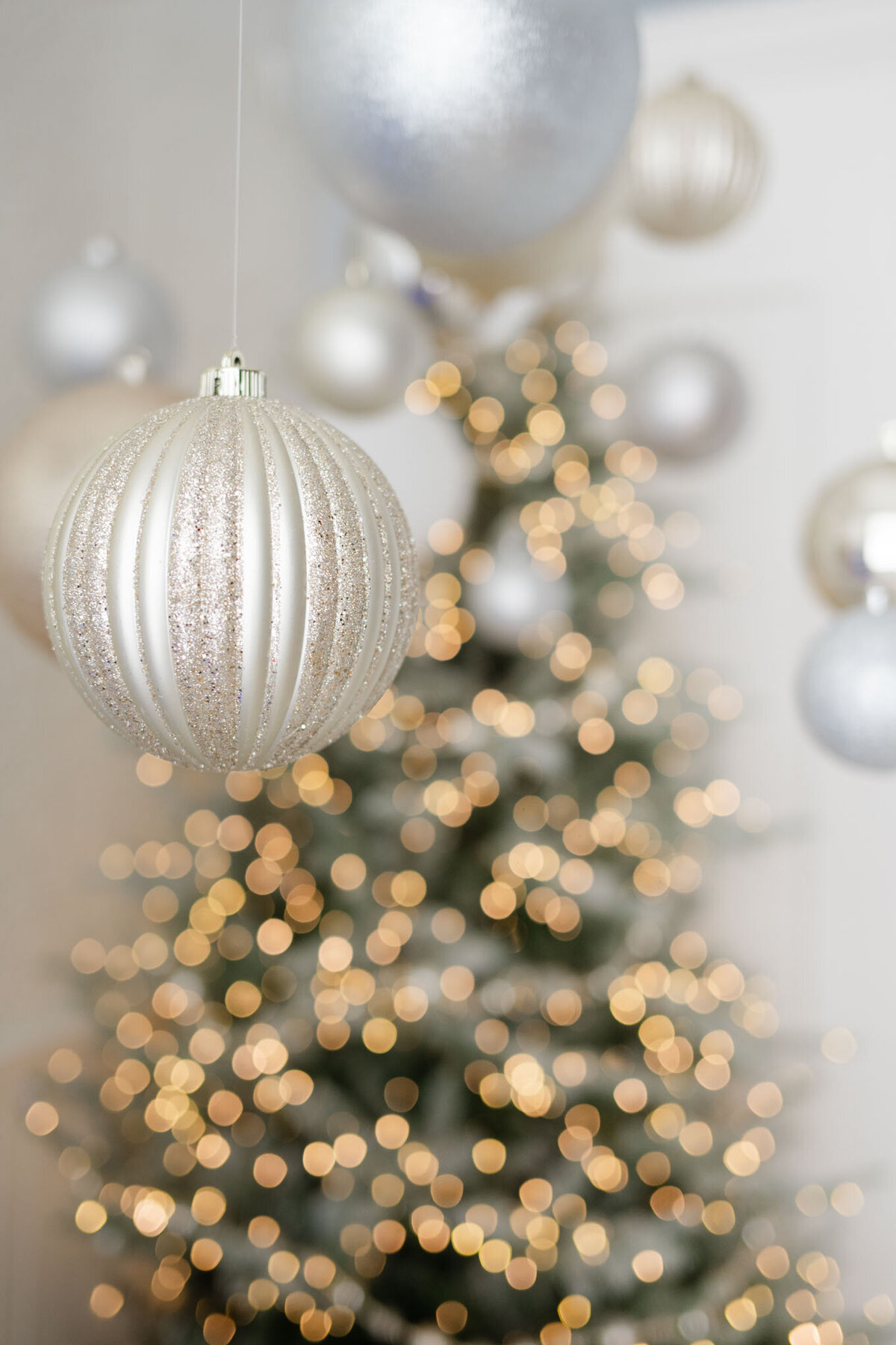 2025 Maine Studio Christmas Minis Gallery-10