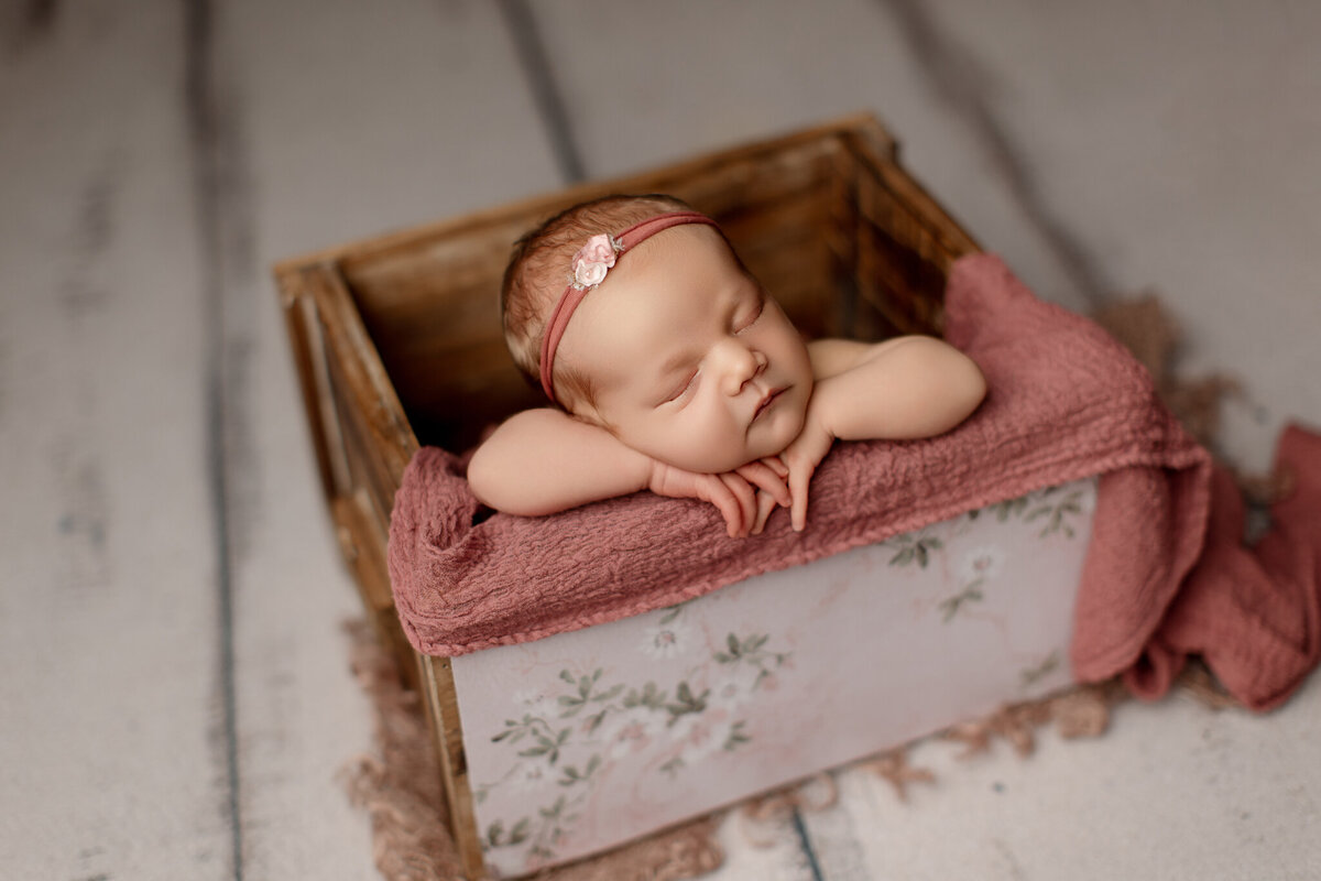 best NWA newborn portraits, newborn photoshoot near me, Northwest Arkansas newborn portrait studio, best NWA baby photographer