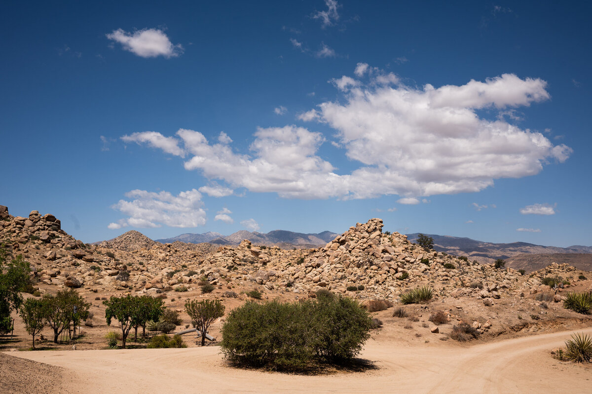 joshua-tree-weddingdayna-brandt01