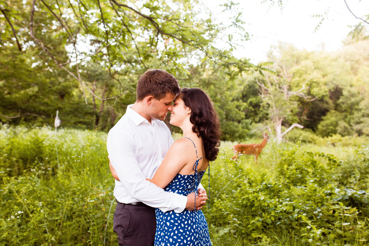 Engaged couple hugs each other while deer walk by.