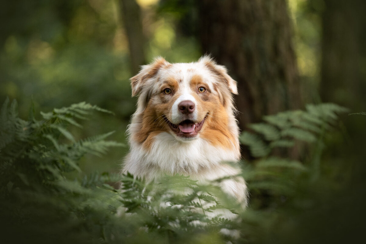 Thorvi en Alfie- WEB-2