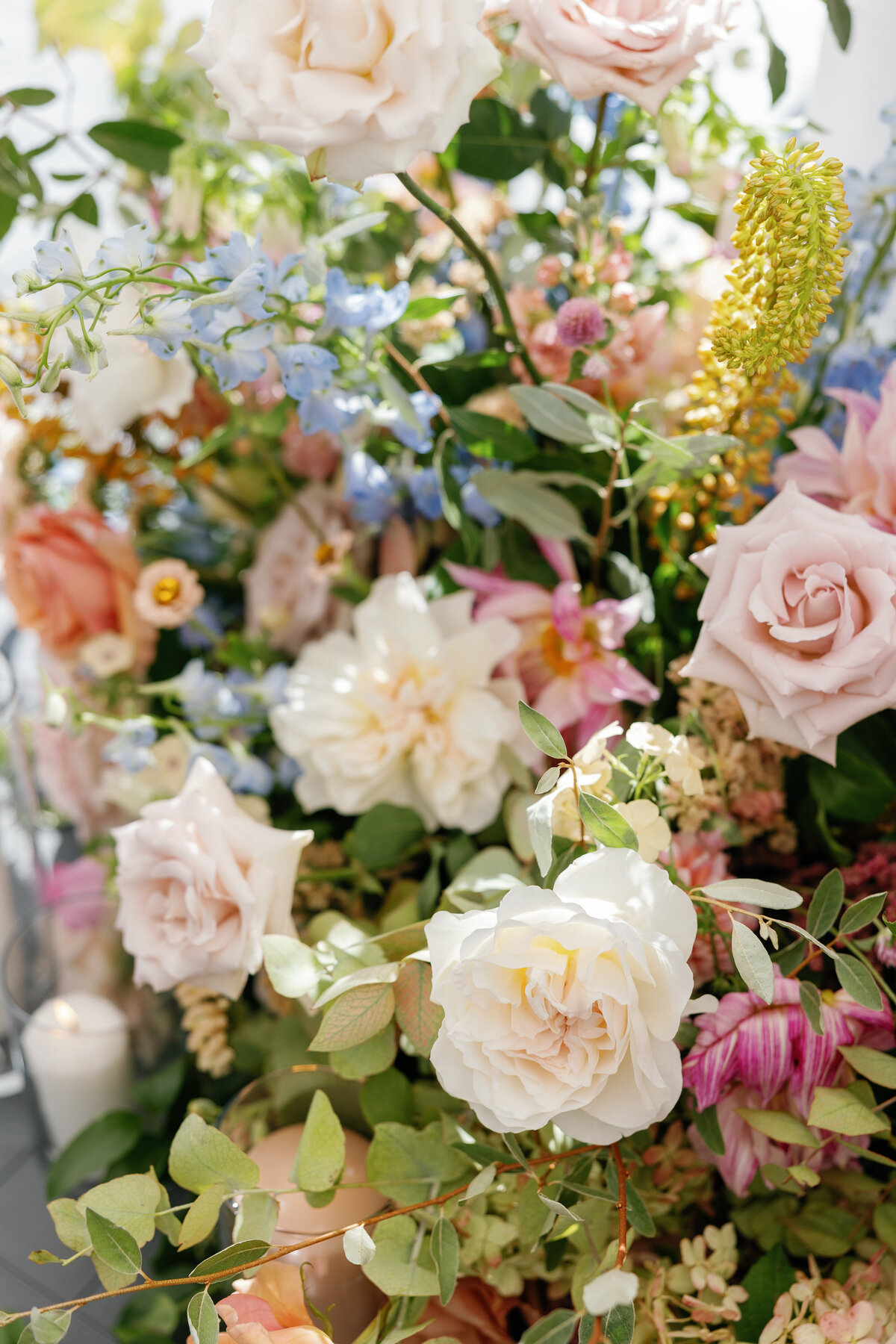 mackenziekatephoto-55 (1)