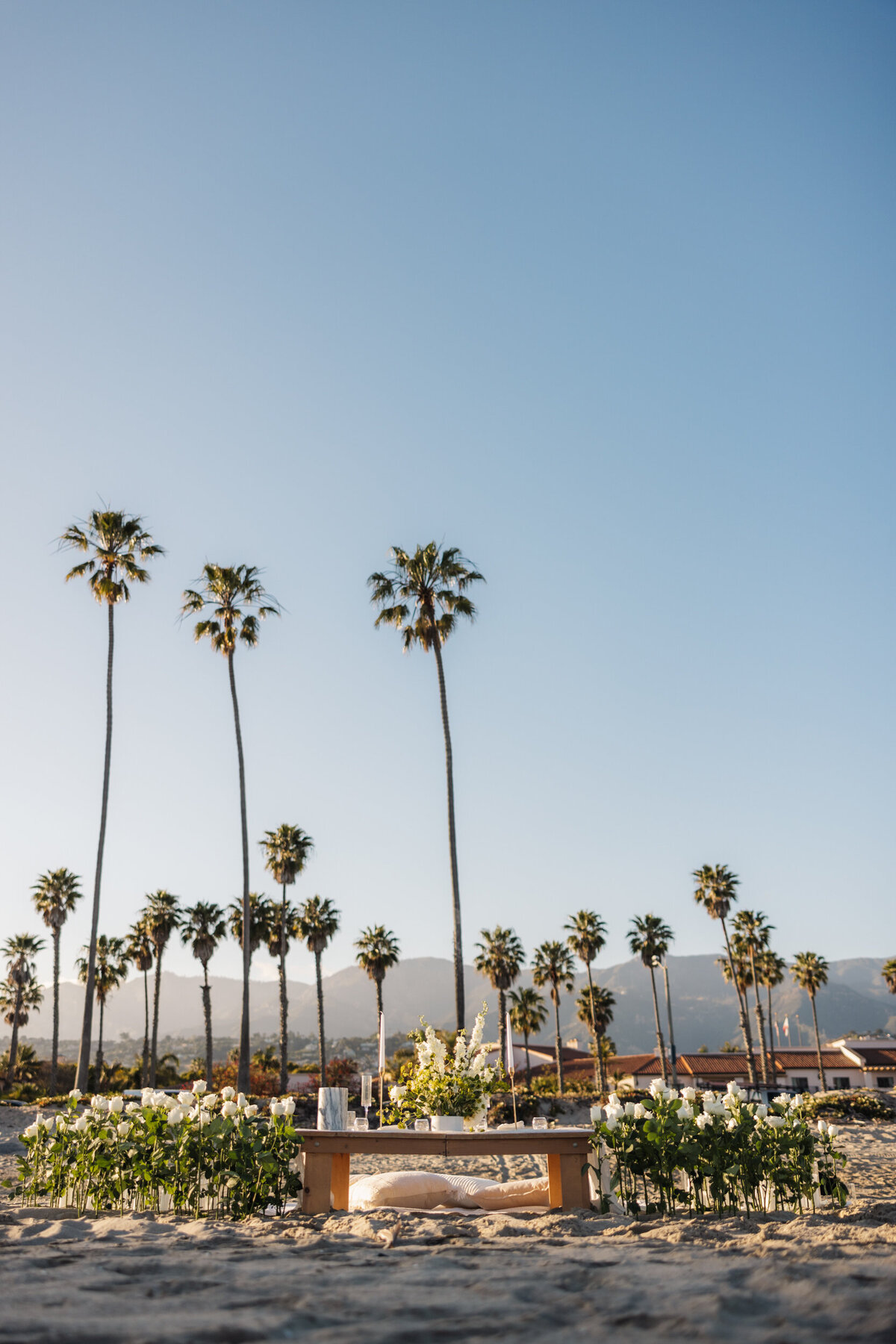 TrevorMorrisonPhoto_0004