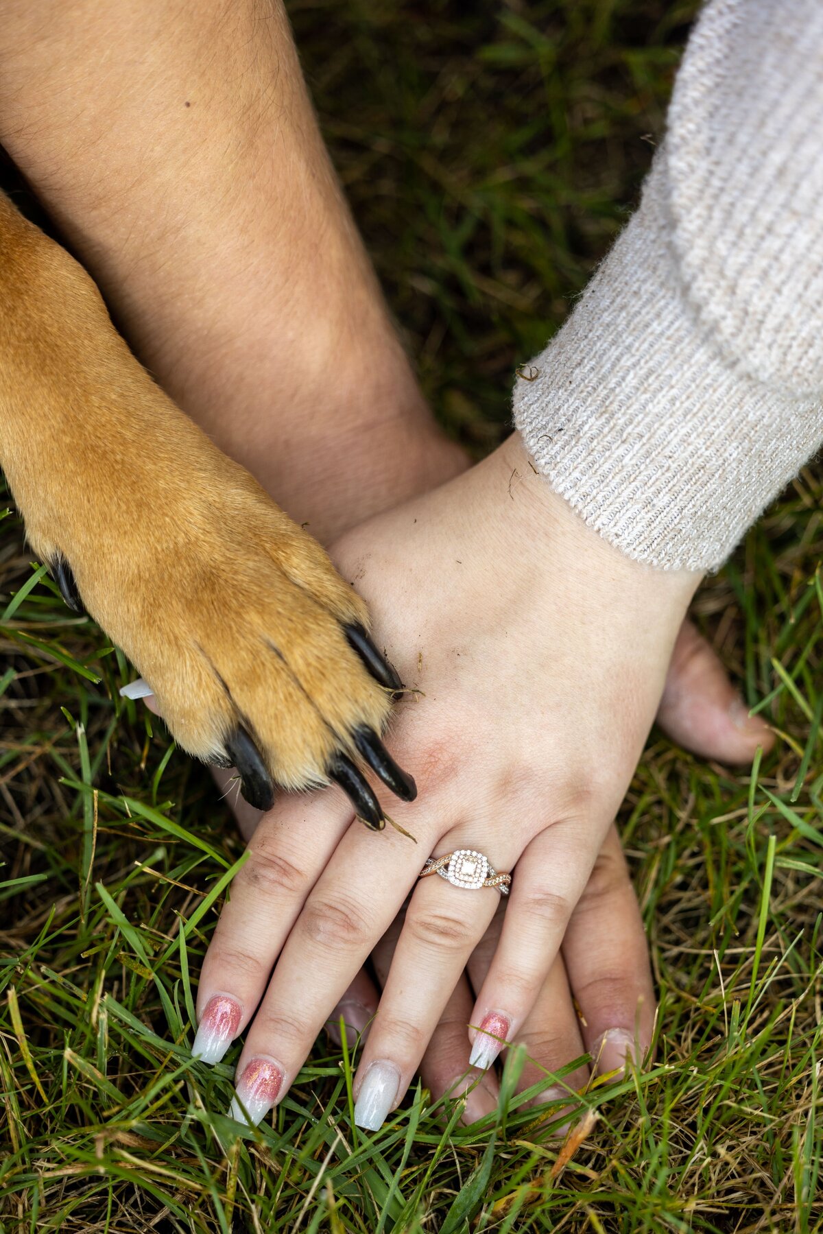 Tyler & Sierra Engagement Photo - DVX11247
