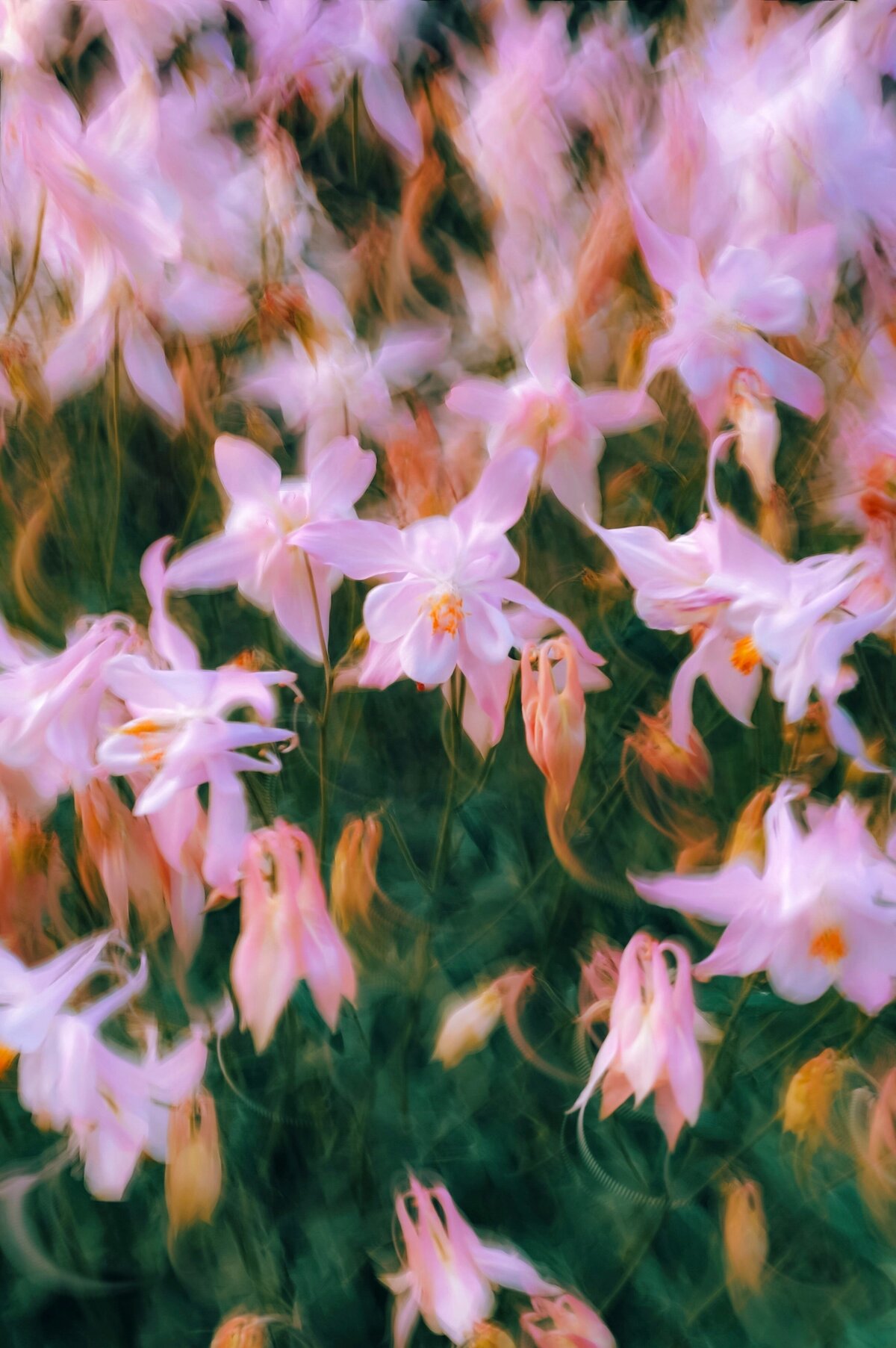 eugene-golovesov-w76PcRH0fp8-unsplash