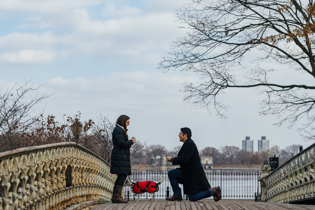 Central-Park-Proposal-Tiny-House-Photo-3