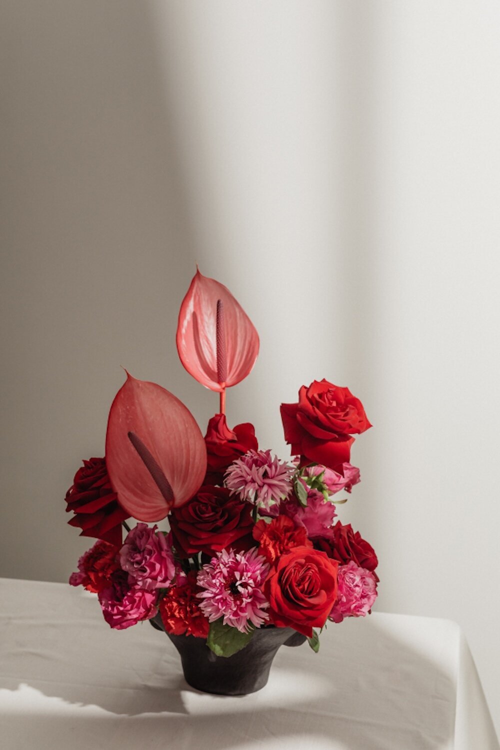 kaboompics_red-flowers-34629