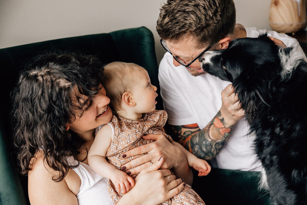 Parents hold baby and dog and interact during home photography session