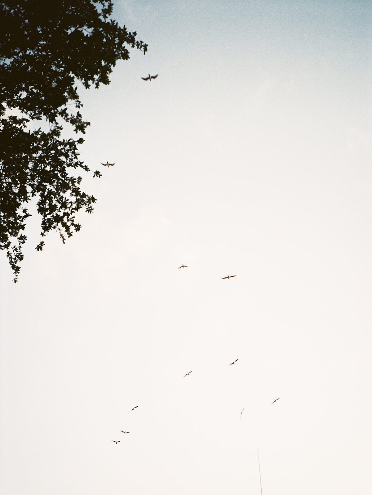 KaraHunterPhotography-MaryGlennJosh-814-2