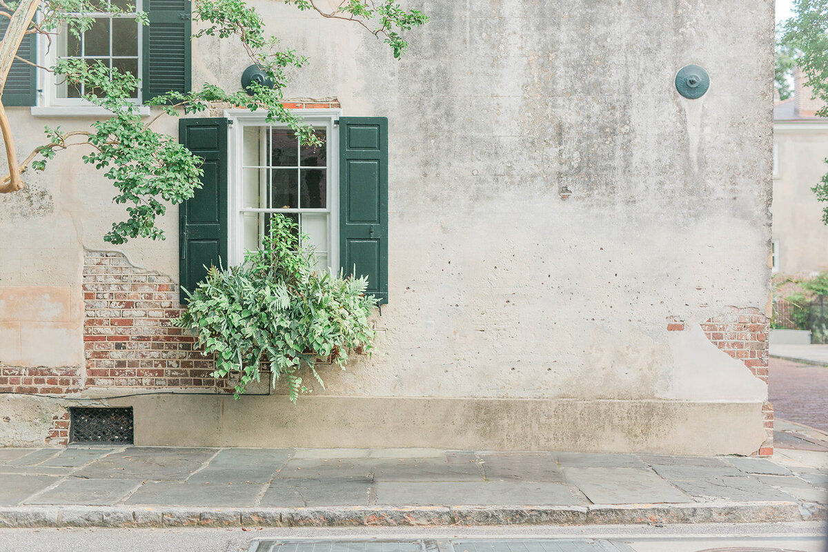 Charleston Wedding Photographer | Laura and Rachel Photography