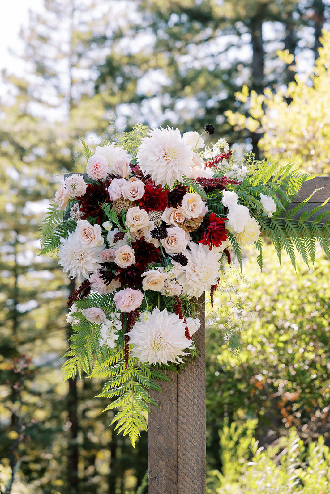 renee-jeremy-wedding-apollofotografie-261