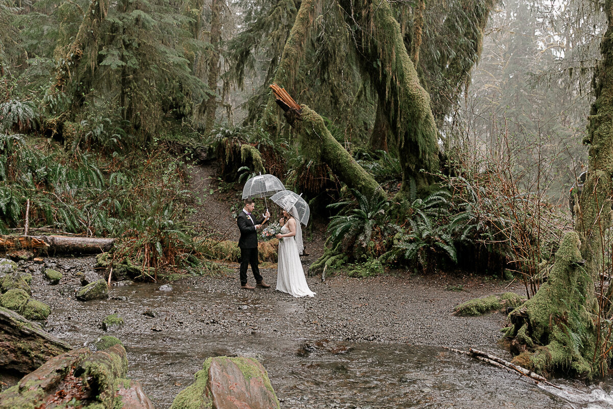washingtonelopementphotographer-fernacreswedding-forkswashingtonwedding-pnwelopement-12