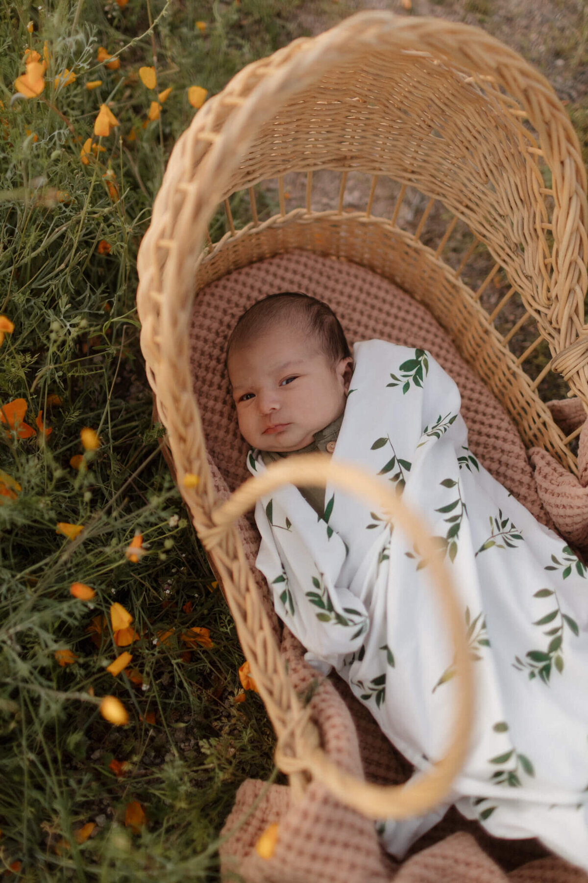 Phoenix-Newborn-Photographer-156