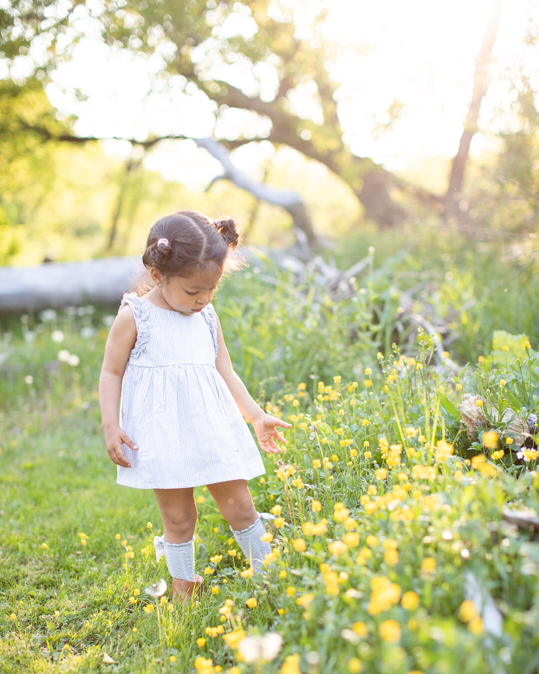 Syracuse New York Family Photographer; BLOOM by Blush Wood (43 of 50)