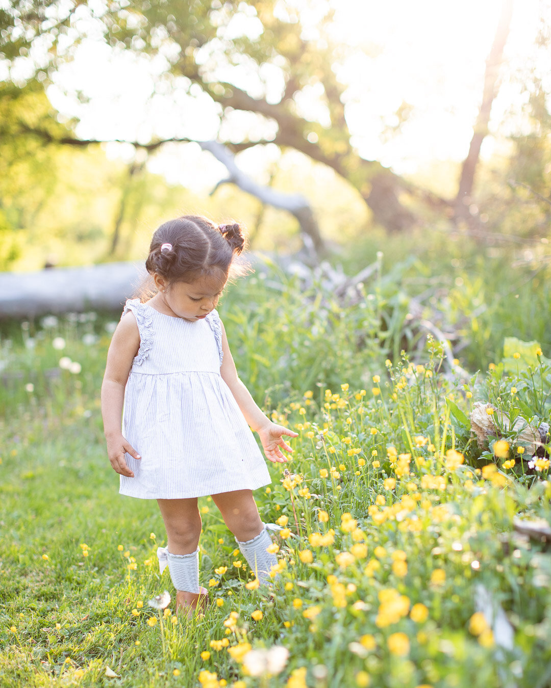 Syracuse New York Family Photographer; BLOOM by Blush Wood (43 of 50)