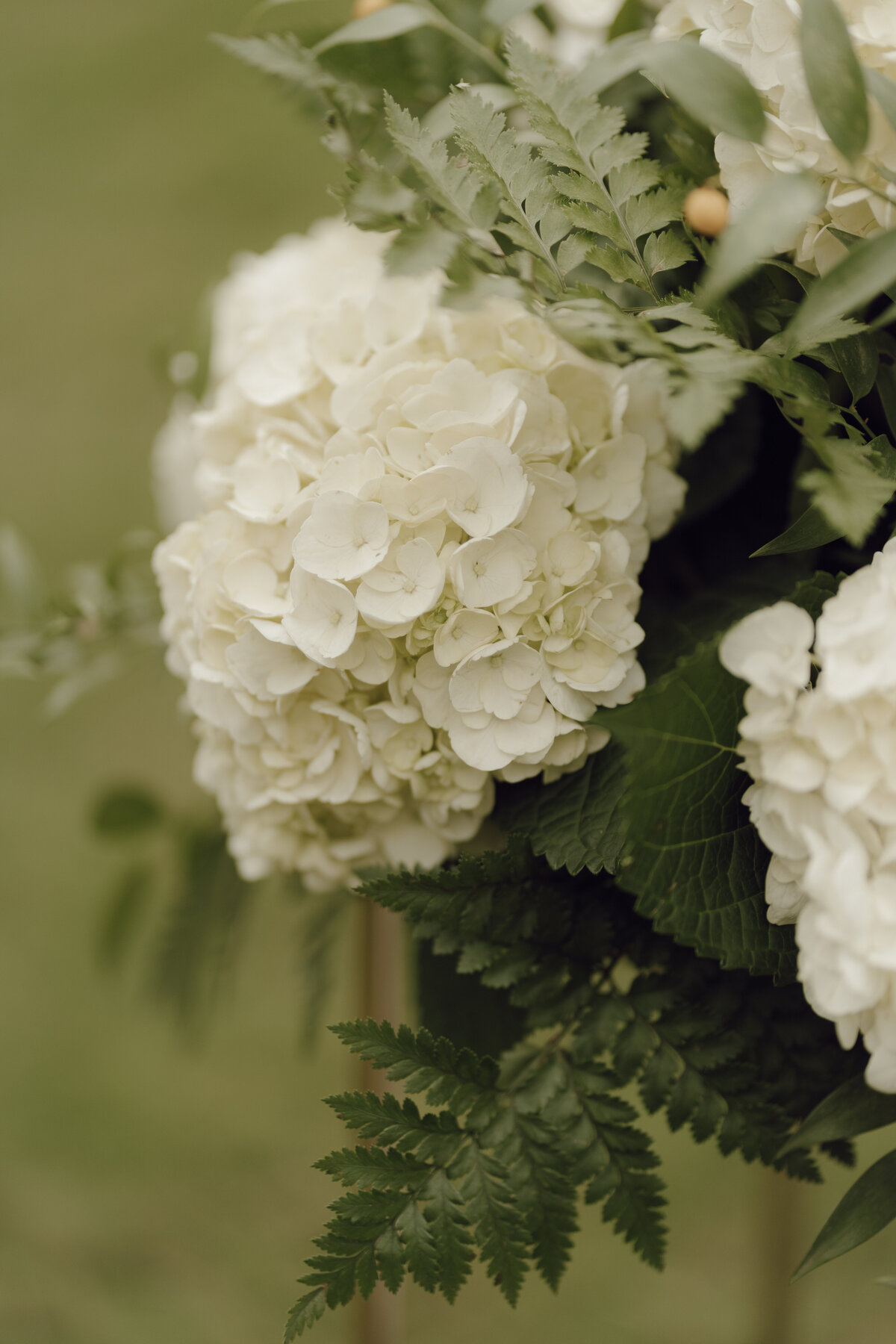 K+ACEREMONY-26