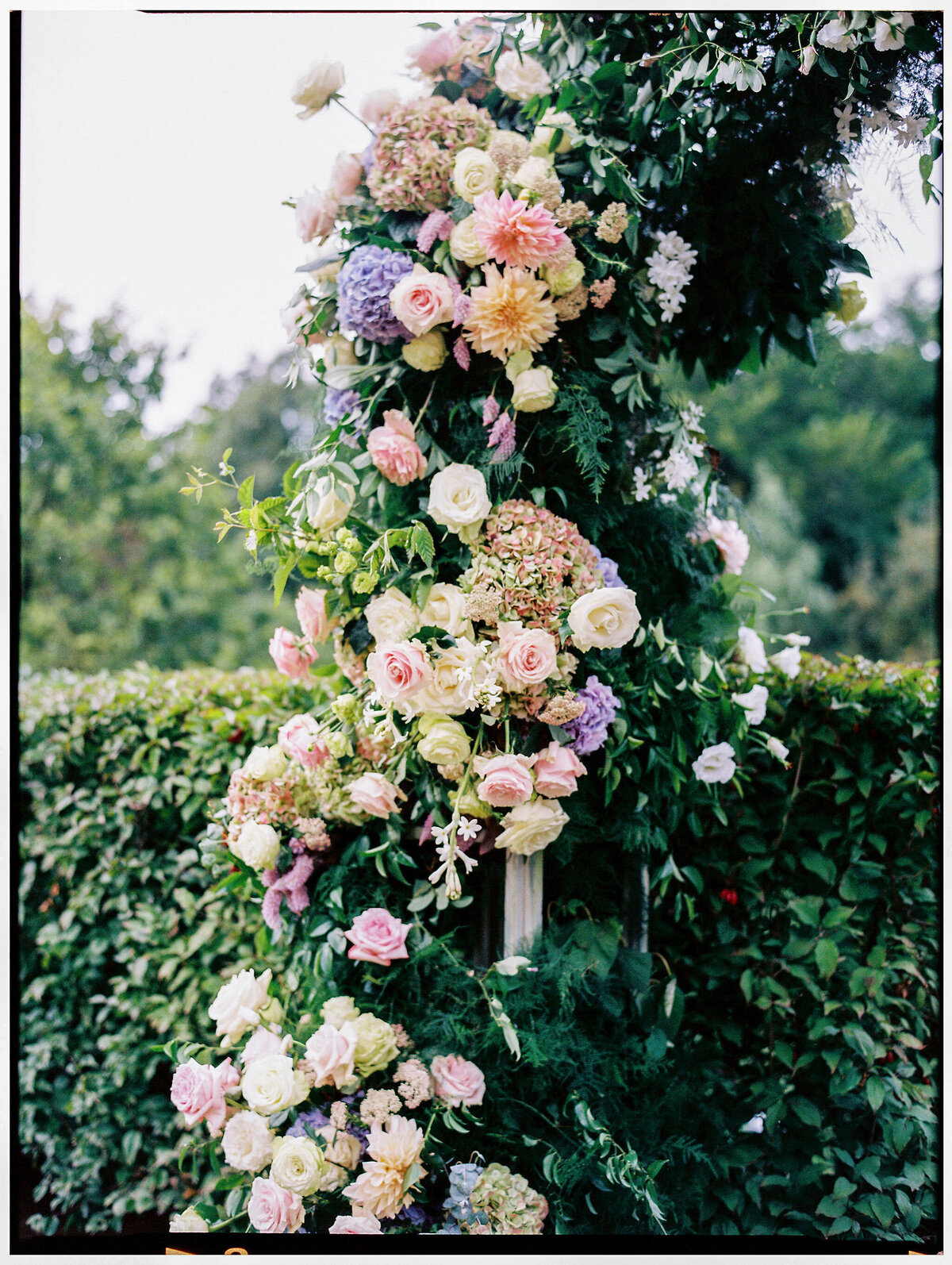 piperwill-details-25