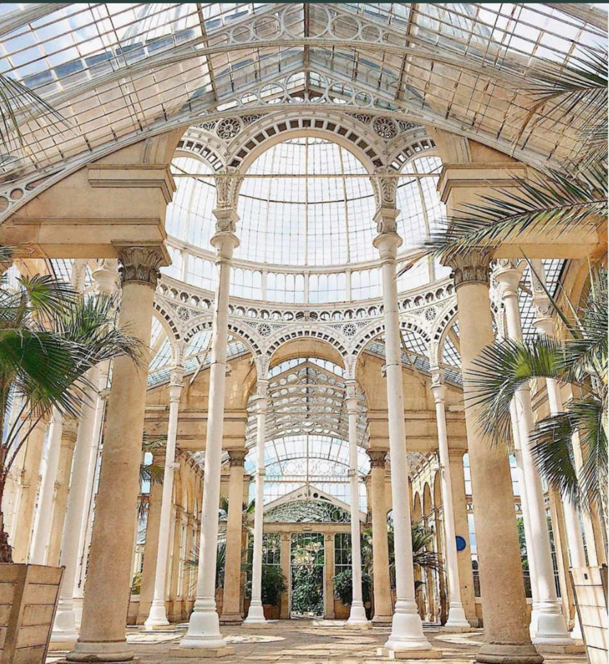 Syon-Park-Conservatory-Rollinson-London