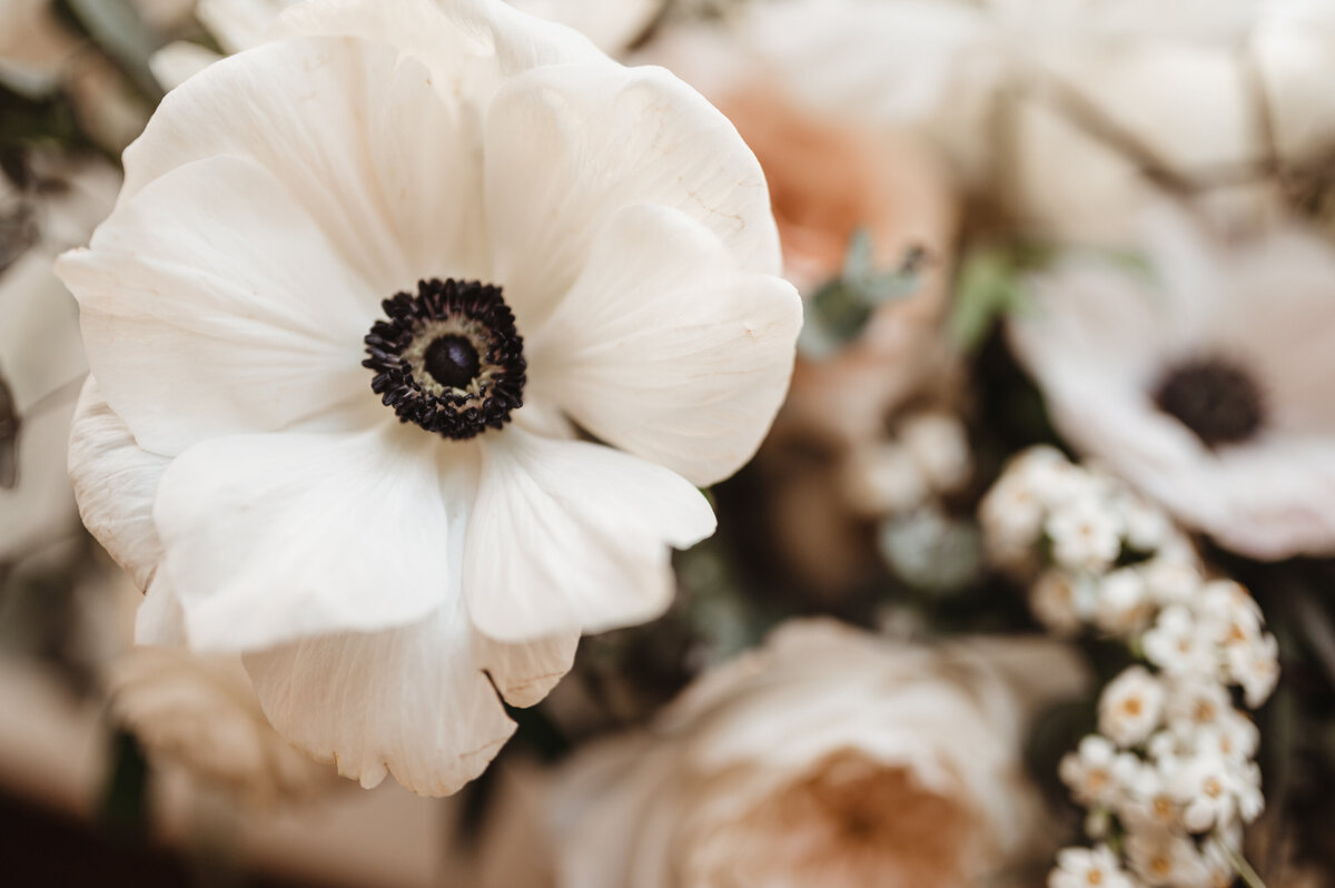 NoelleAndAndrew11.16.19-LVP-330