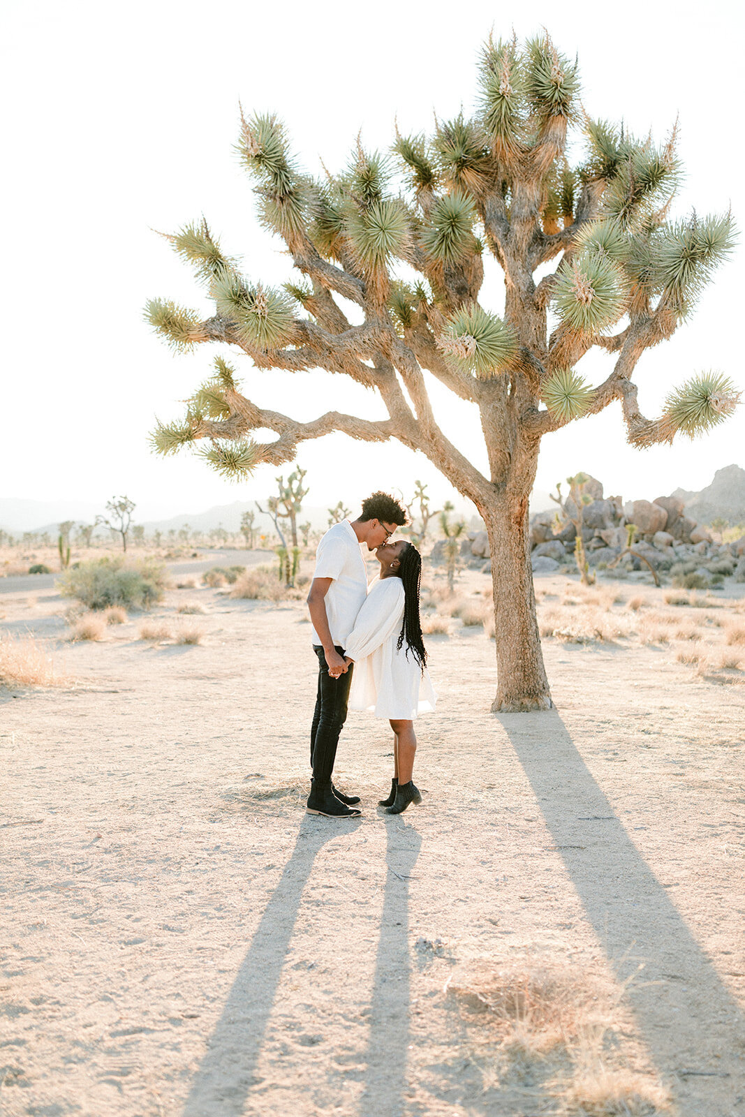 E-A+A21-4406_websize