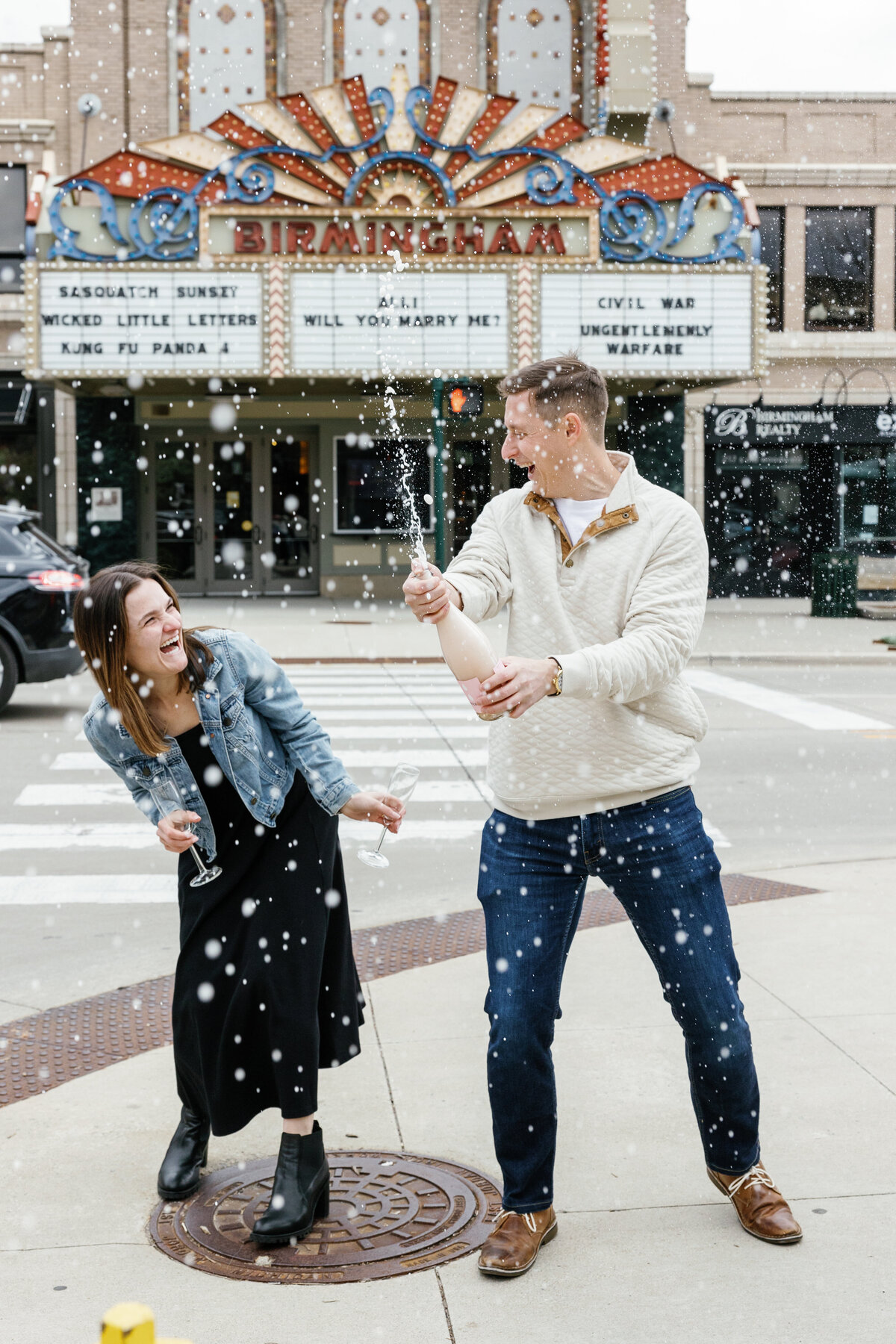 Proposal Photos Michigan