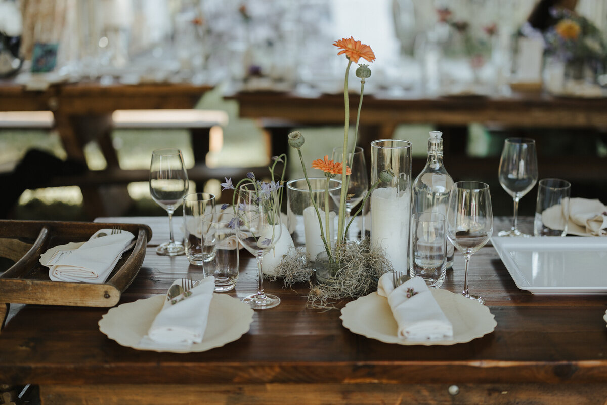 grace-and-jonah-gibsons-farm-wedding-chelsea-brown-photography-631